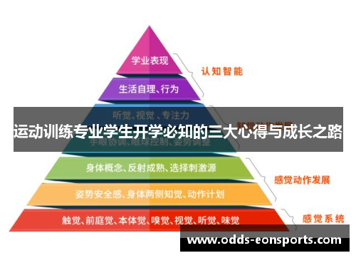 运动训练专业学生开学必知的三大心得与成长之路 运动训练专业学生开学必知的三大心得与成长之路